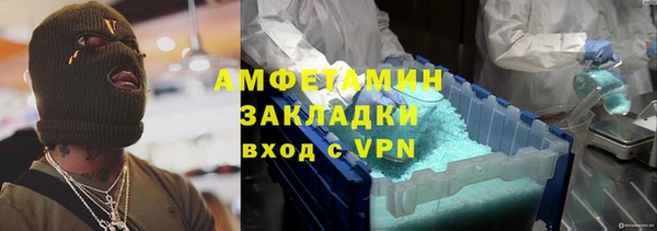 ГАЛЛЮЦИНОГЕННЫЕ ГРИБЫ Инта