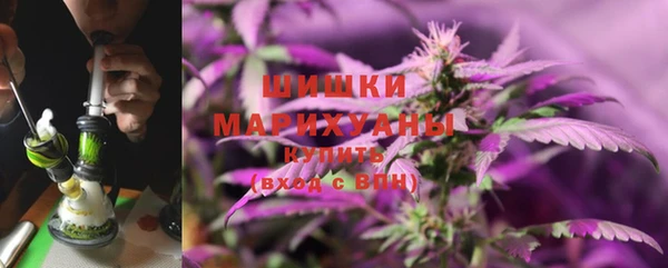 mdpv Инсар