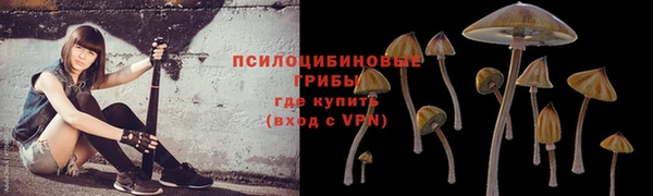 ГАЛЛЮЦИНОГЕННЫЕ ГРИБЫ Зеленокумск