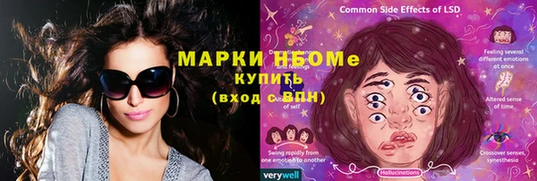 ГАЛЛЮЦИНОГЕННЫЕ ГРИБЫ Инта
