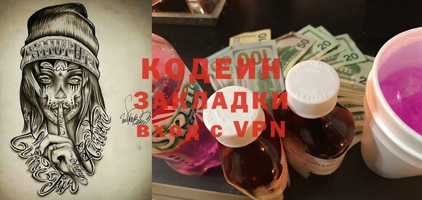 дживик Тында