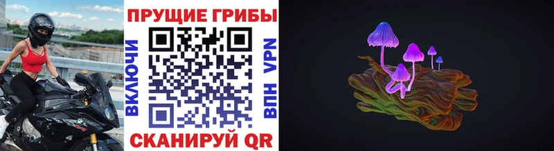 Псилоцибиновые грибы мухоморы  Кизилюрт 