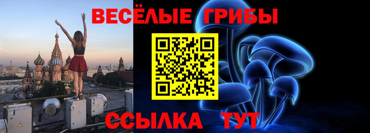 Псилоцибиновые грибы ЛСД Кизилюрт