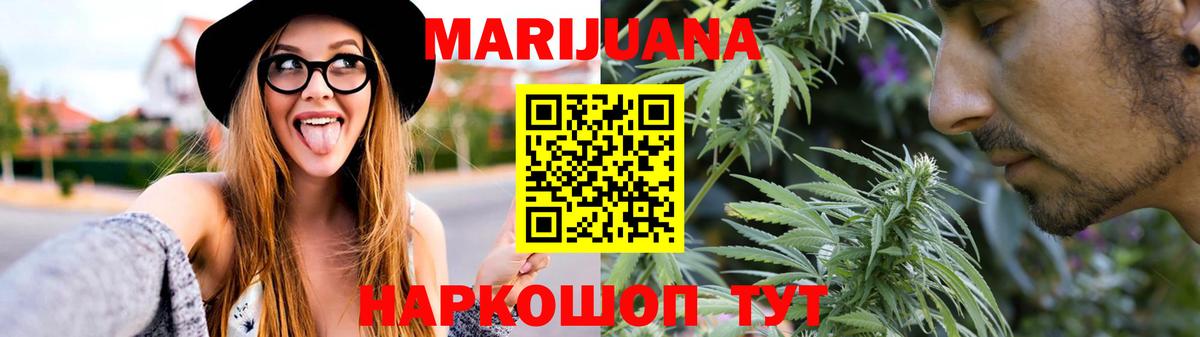 Каннабис планчик Кизилюрт